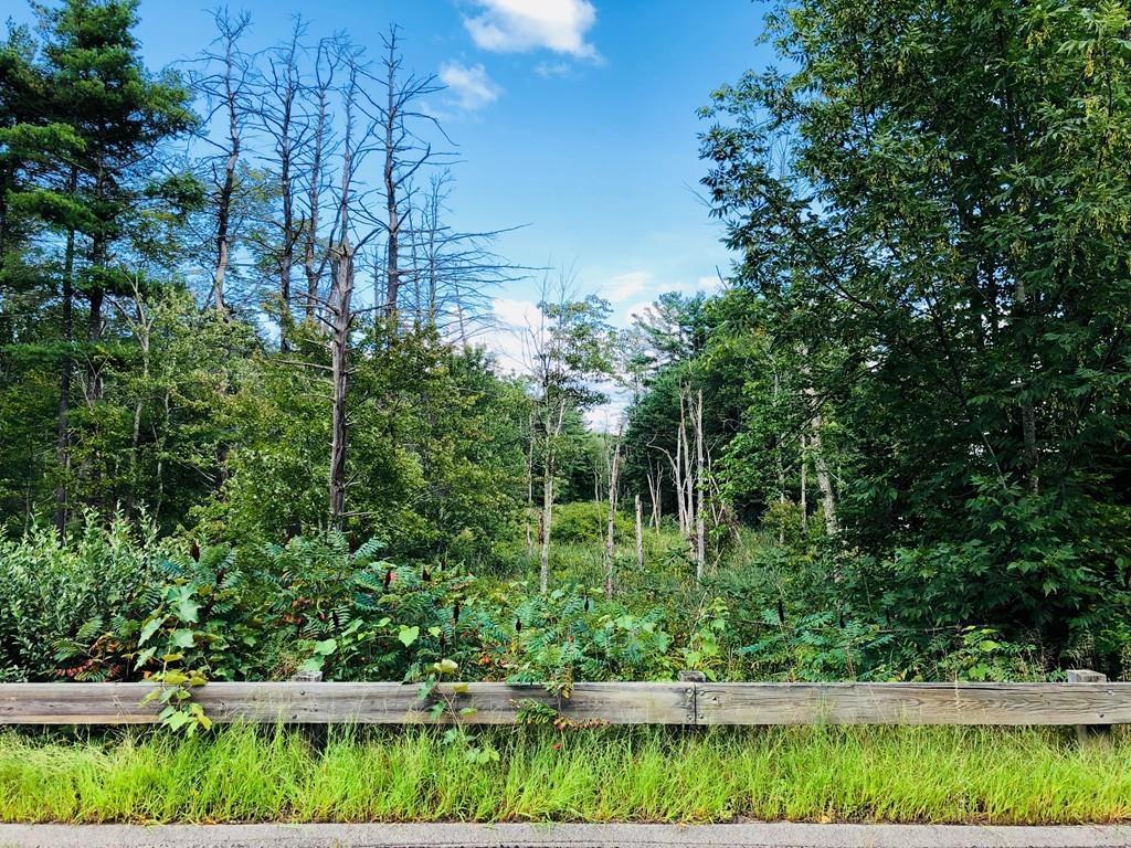 0 Littleton Rd Lot-1C - Photo 1