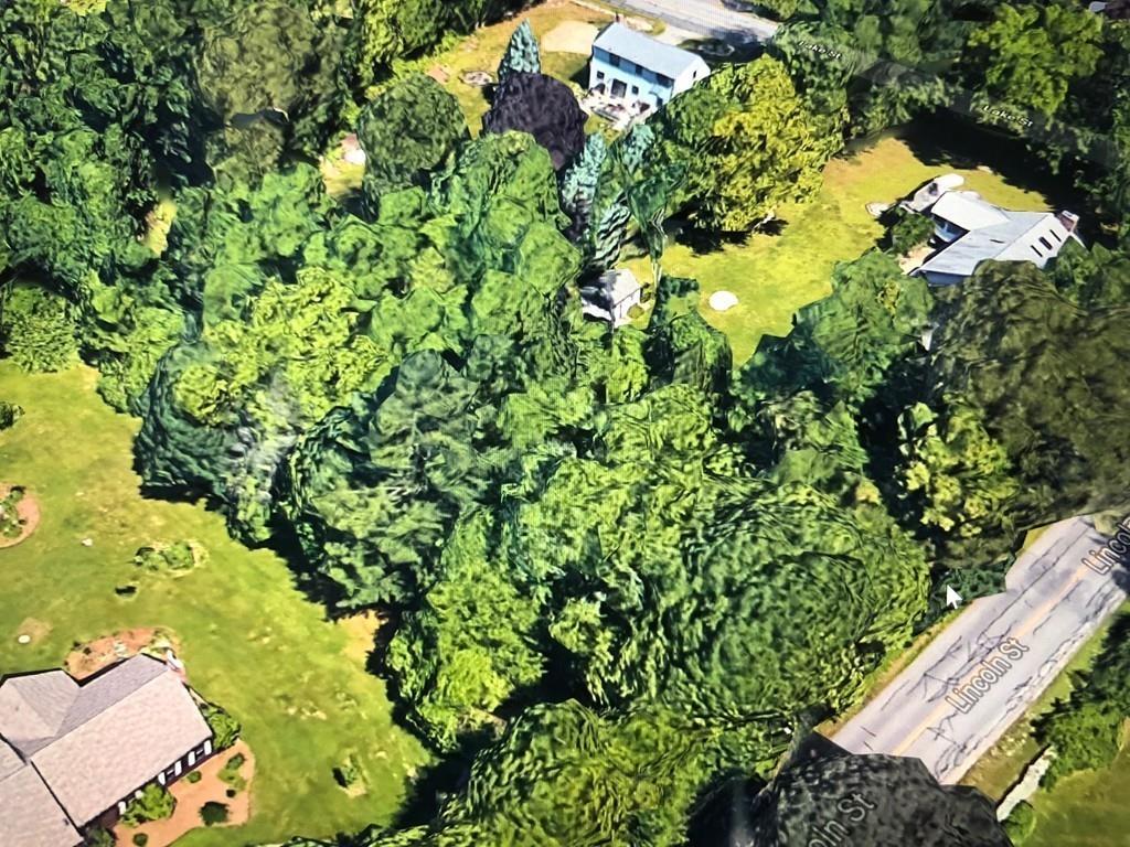 235 Lincoln - Photo 1