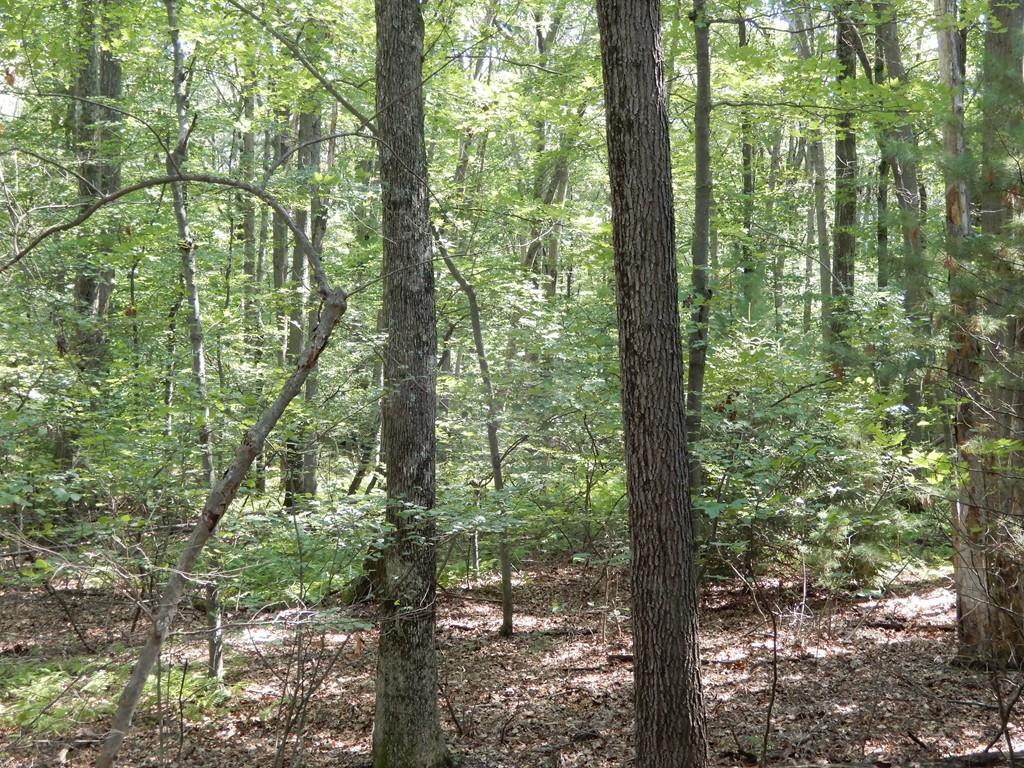 104 Bent St - Photo 1