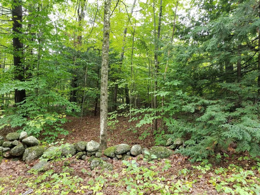 Lot A Turnpike Rd - Photo 1