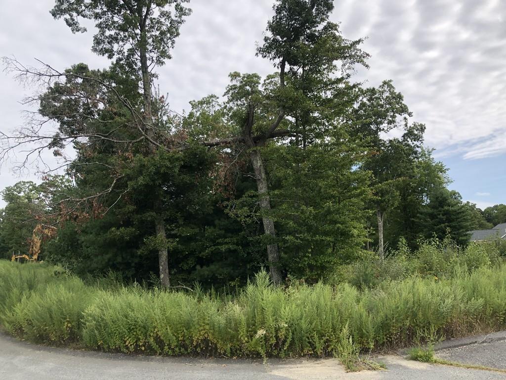 Lot 20 Keith Cir - Photo 1