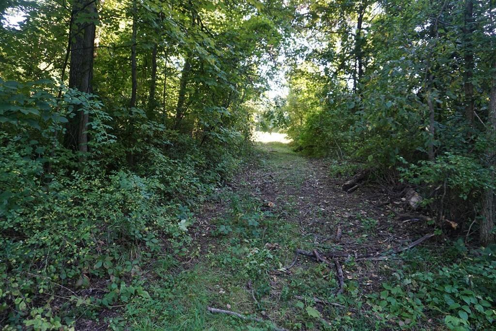 Lot A 1.54 Kline Rd. - Photo 1