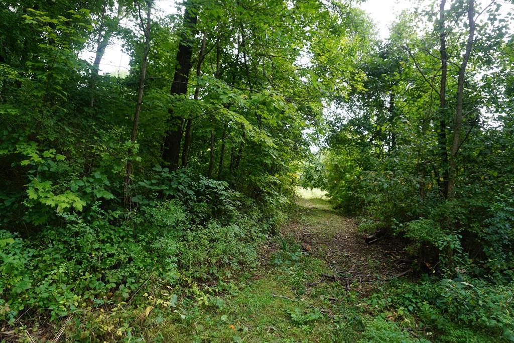 Lot C Kline Rd. - Photo 1