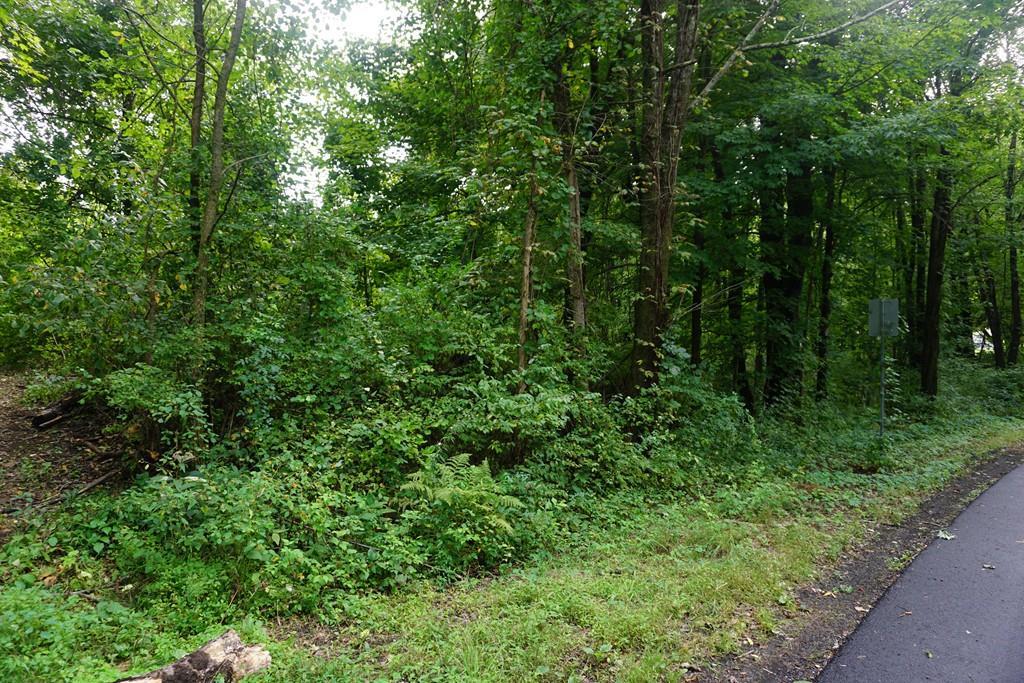 109 North Rd. - Photo 1