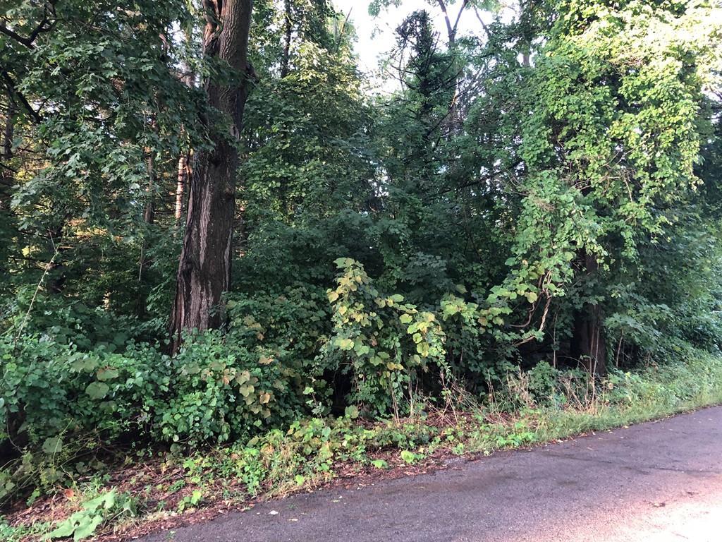3 Merriam Rd - Photo 1