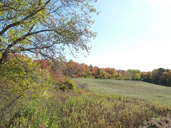 Lot 5 Cold Hill - Photo 1