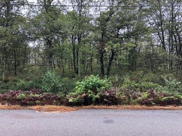 Lot 2 Mount Daniels Way - Photo 1