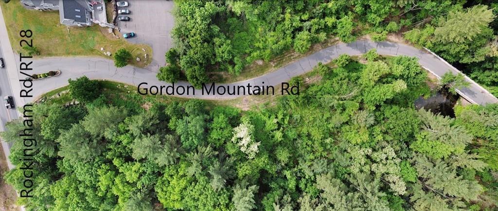 0 Gordon Mountain Rd - Photo 1