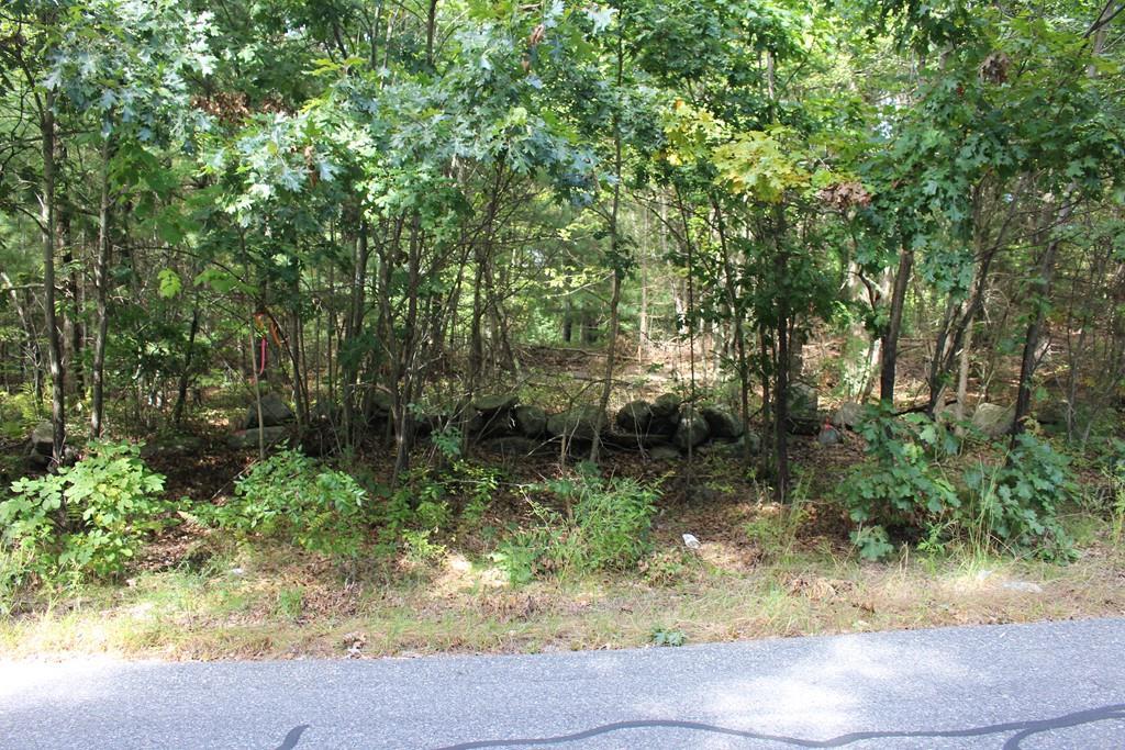 80 Lot 1 Albee Rd - Photo 1