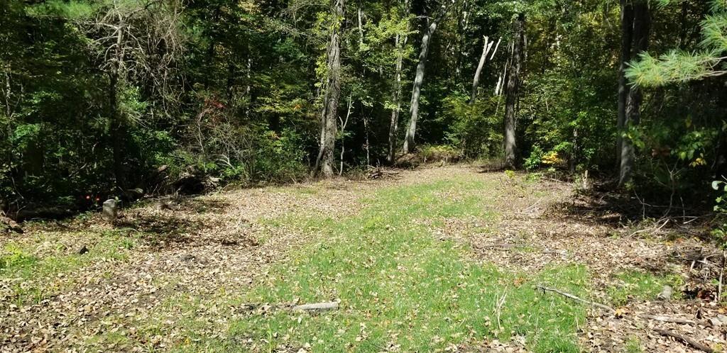 0 Leno Rd - Photo 1