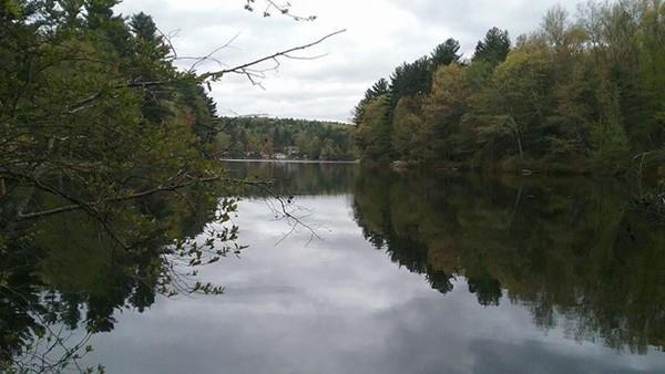 XO Lebanon Hill Rd Waterfront - Photo 1