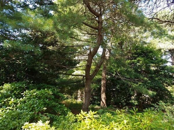 6 Merrymount Rd - Photo 1