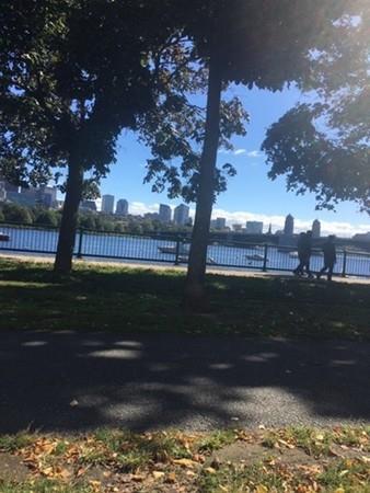 75-83 Cambridge River Prk - Photo 1