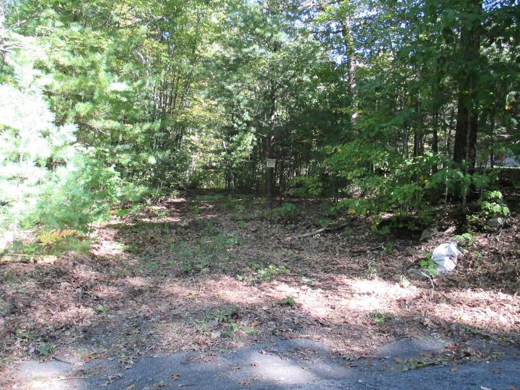 Lot D-1 Adams Dr - Photo 1