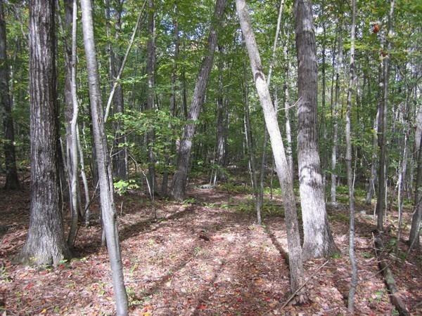 102 Hollow Rd - Photo 1