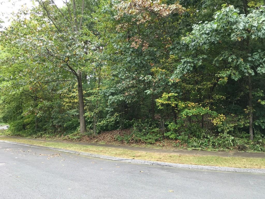0 Churchill Dr - Photo 1