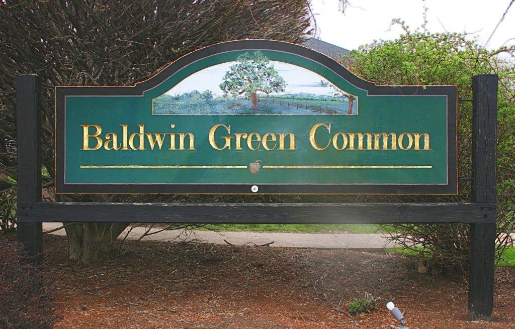 3 Baldwin Green Cmn - Photo 1