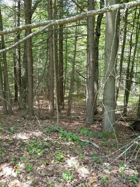 0 Whitaker Road - Photo 1