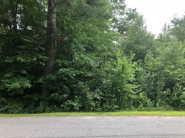 0 (Lot 4) Juniper Rd - Photo 1