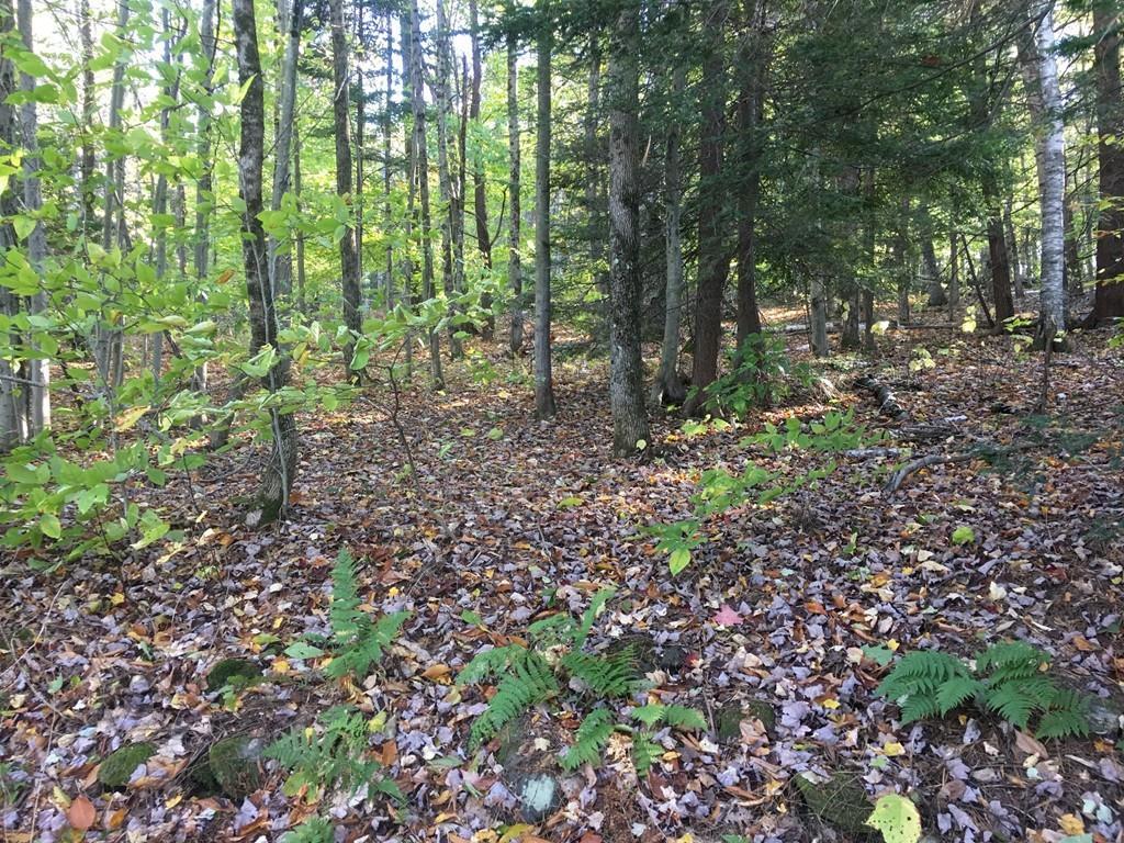 0 Taylor Brook Rd - Photo 1