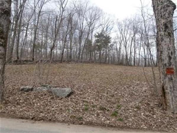 Lot 171 Rutherford Rd. - Photo 1