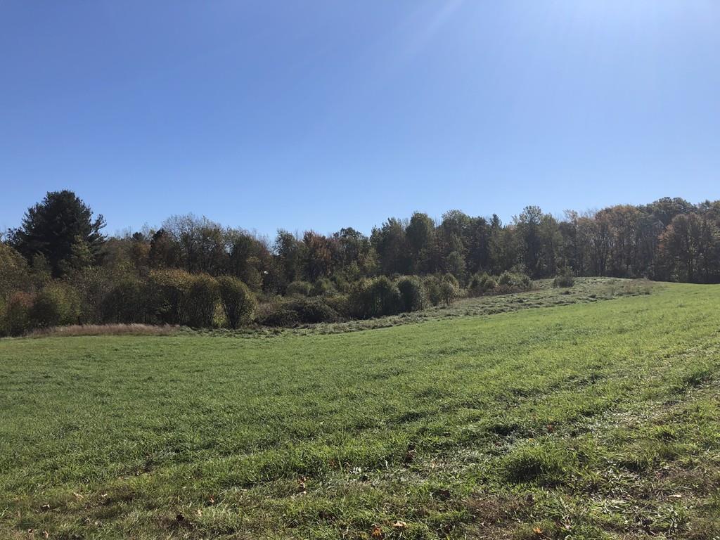 0 Farm Rd/Berlin Rd (Corner Lot) - Photo 1