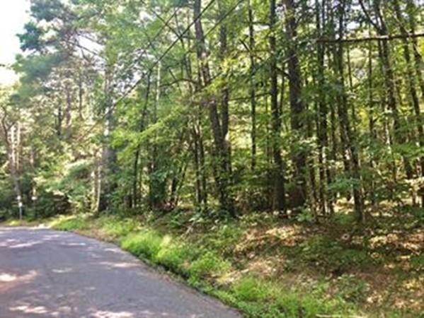 Lot 03 Lithia Springs Road - Photo 1