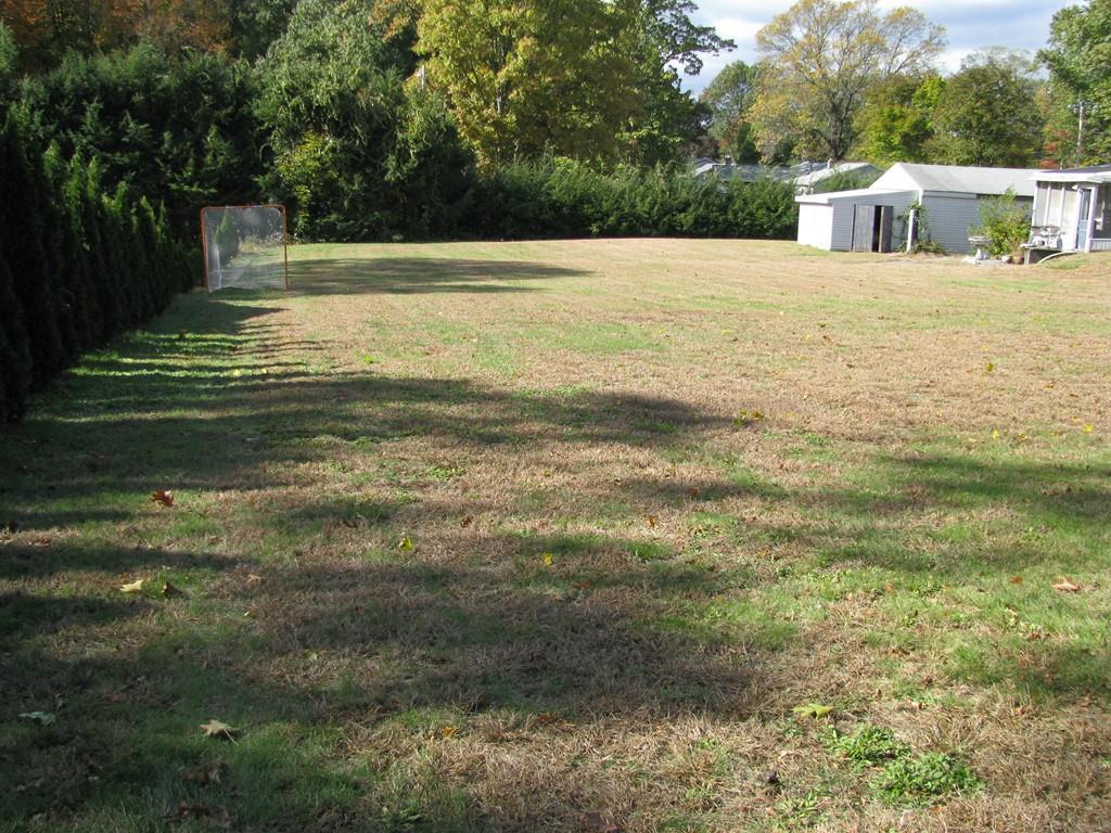 0 Old Lyman Rd - Photo 1