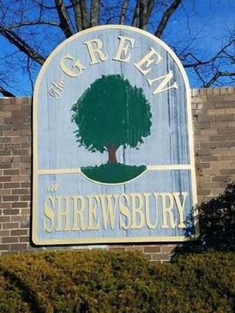 70 Shrewsbury Green Dr - Photo 1