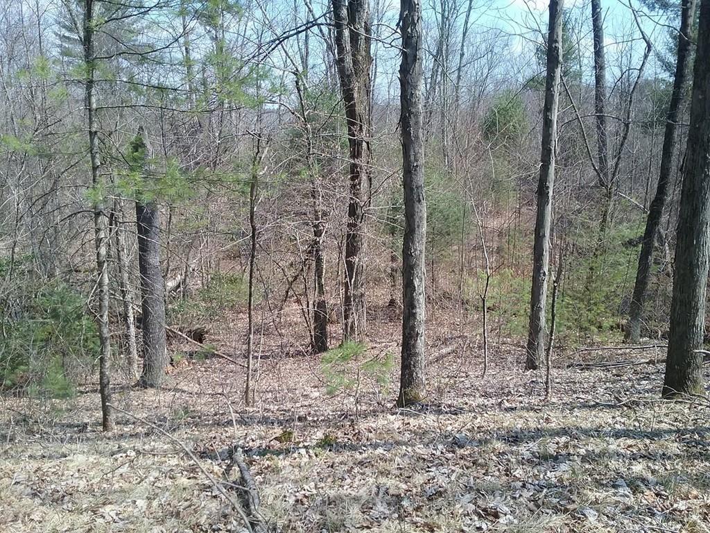 00 Kimball Hill Rd - Photo 1