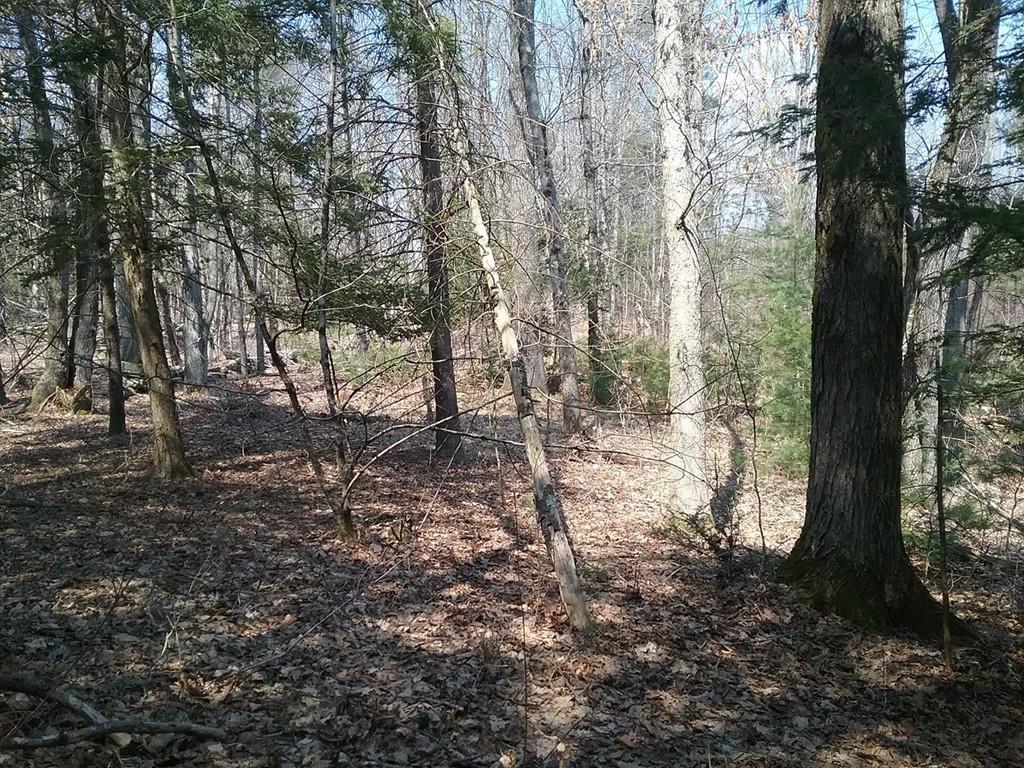 XO Circle Dr - Photo 1