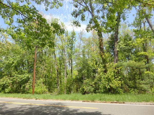 Lot B Tinkham Rd. - Photo 1