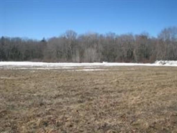 167 Vining Hill Rd - Photo 1