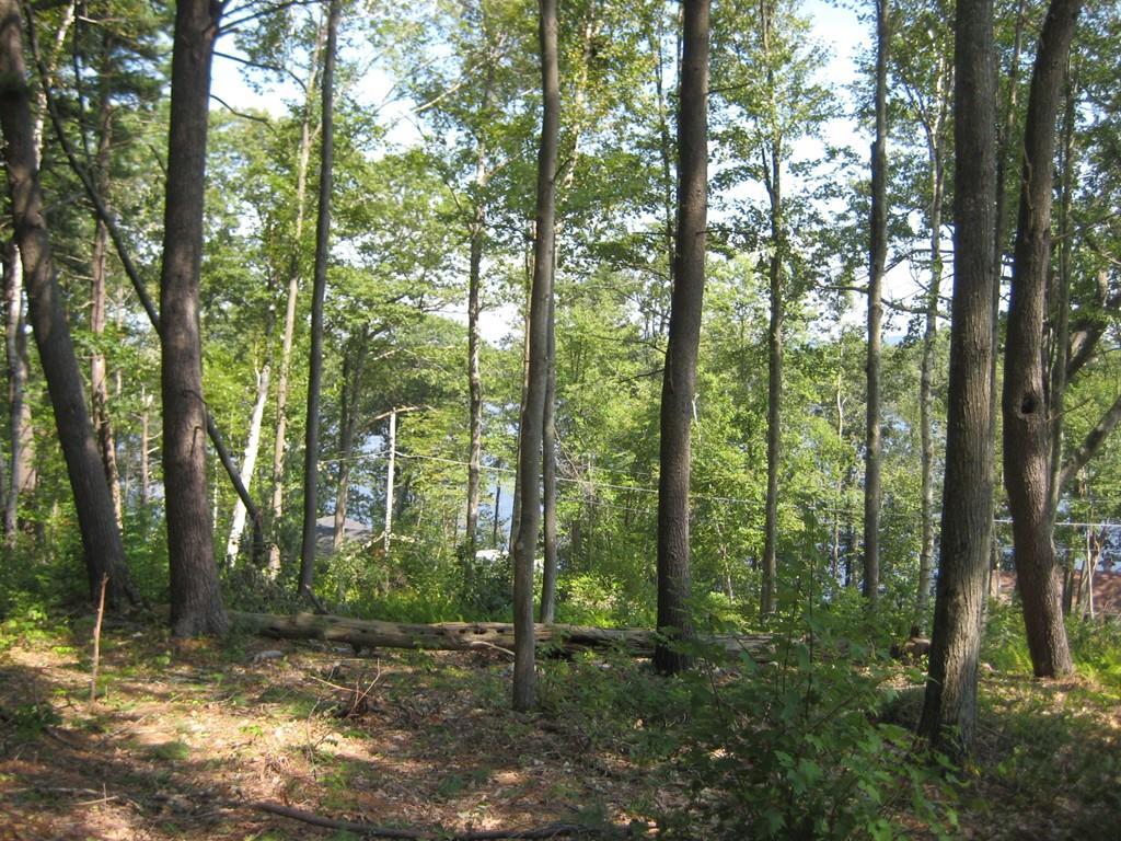 Lot 17,17a Hastings Rd - Photo 1