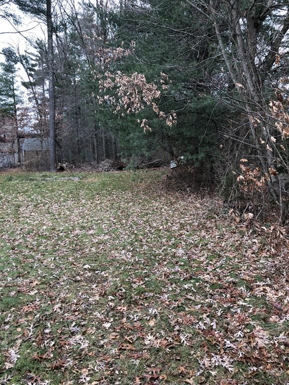86 Cocasset St - Photo 1