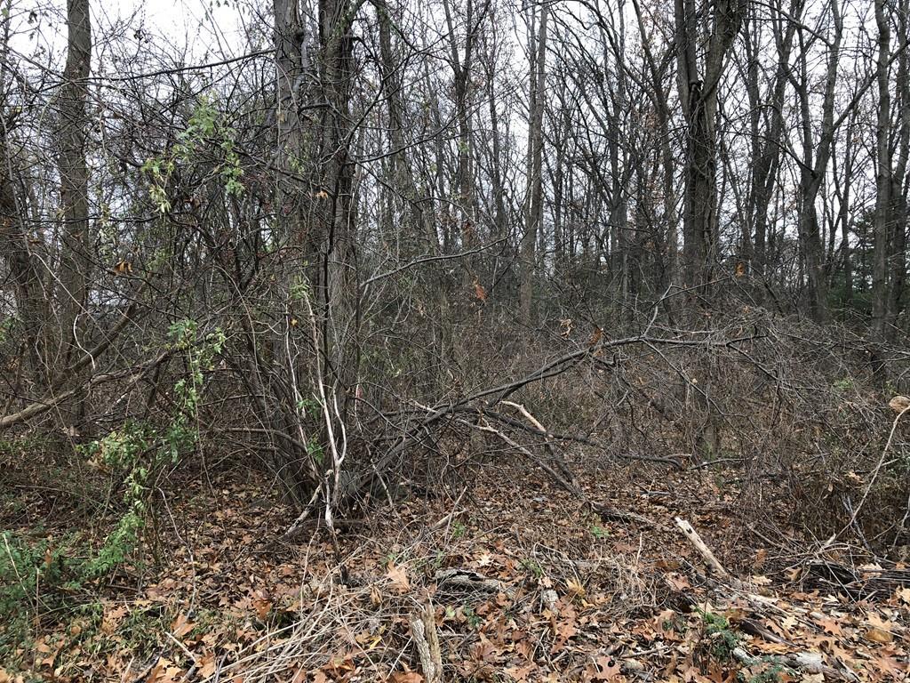 6 Sunnyside Ave Lot 2 - Photo 1