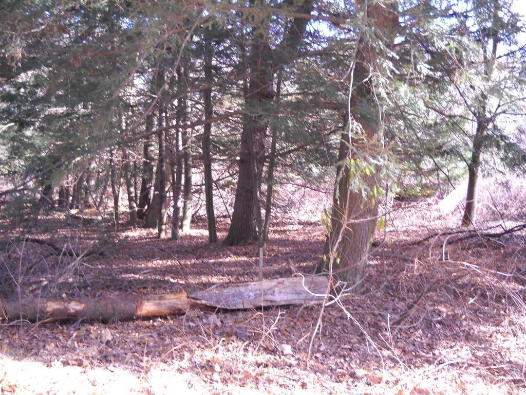 116 Washington Road - Photo 1