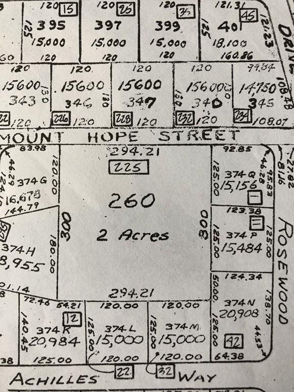 225 Mount Hope Street - Photo 1