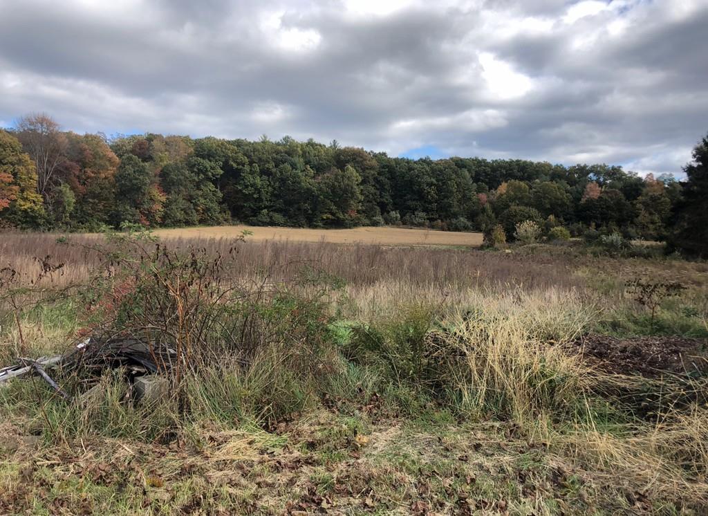 90 Rocky Hill Rd - Photo 1