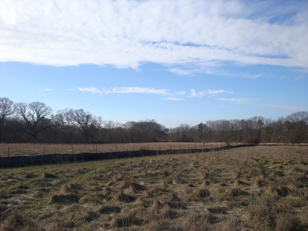 11 Hirsch Lane (Lot 5) - Photo 1