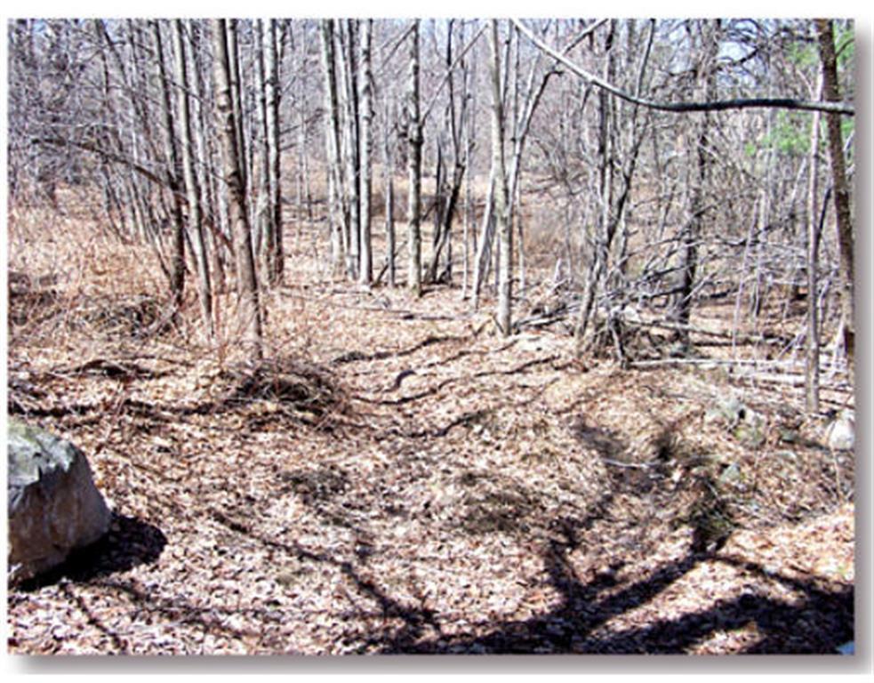 0 Phillips Hill Road - Photo 1