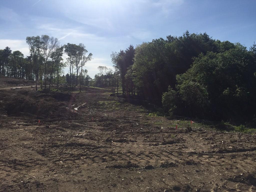 Lot 2 Lafayette - Photo 1