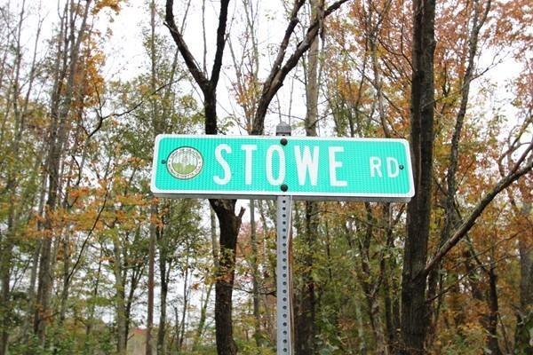 Lot 1 Stowe - Photo 1