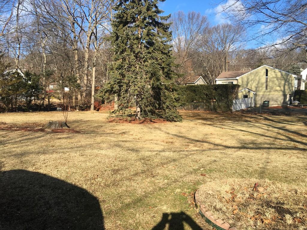 11 Alder St. - Photo 1