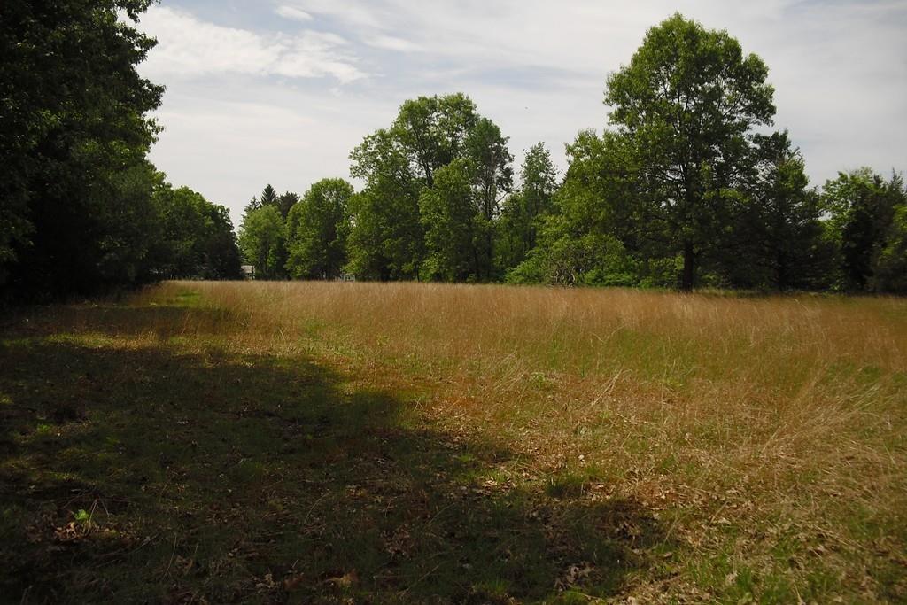 Parcel 48 Amherst - Photo 1