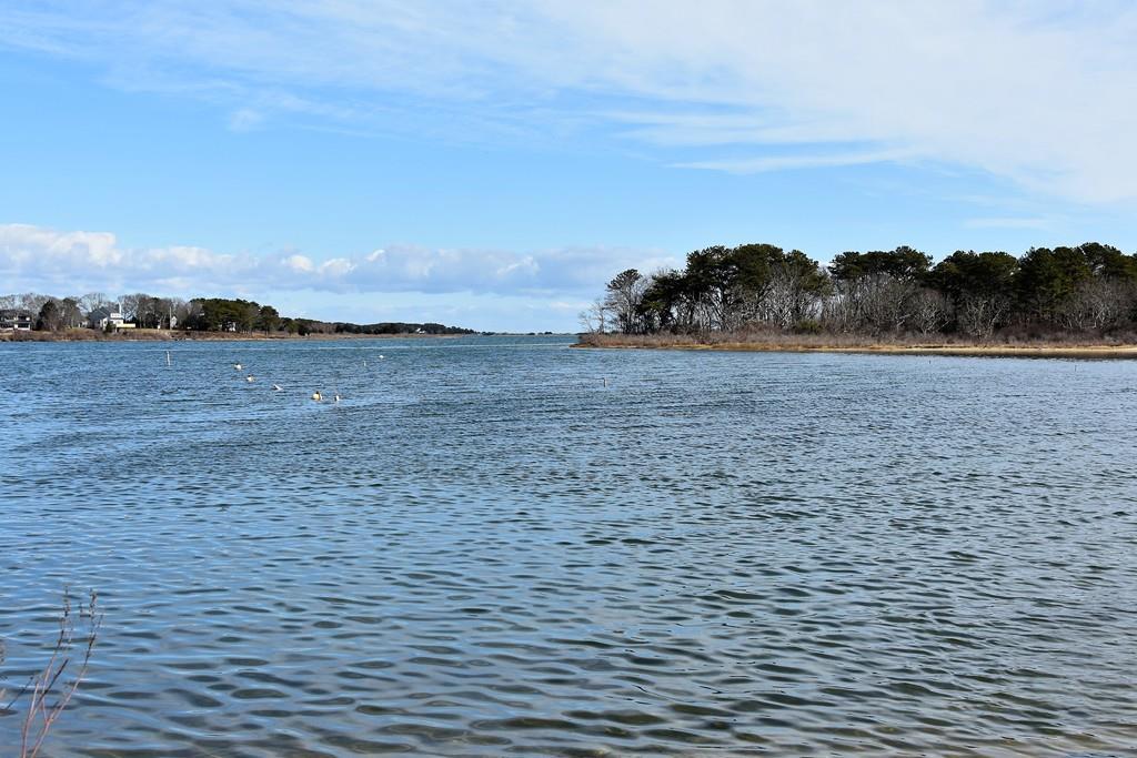 10 Majors Cove Ln - Photo 1