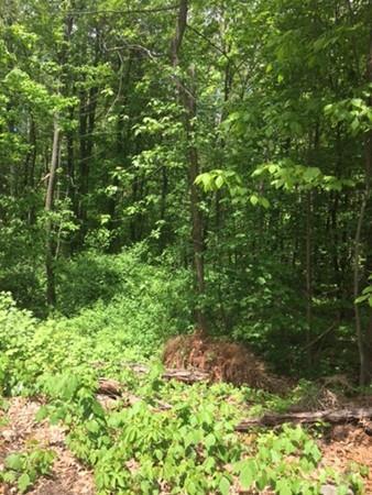 0 Auburn Rd - Photo 1