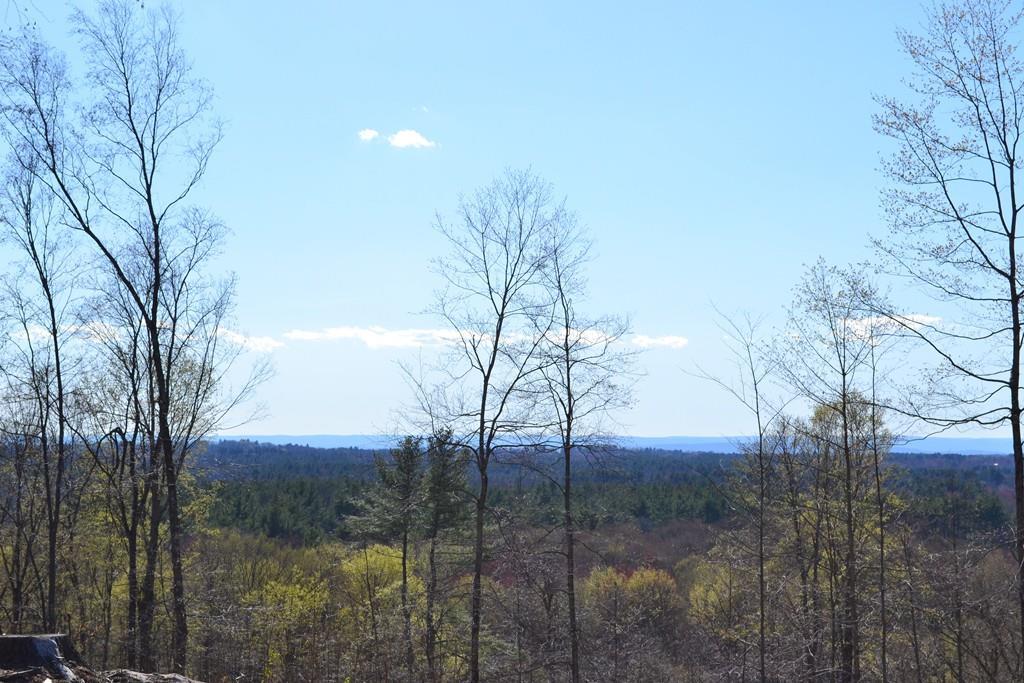 0 Wilbraham Rd - Photo 1