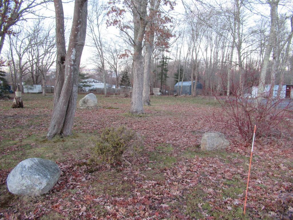 lot 94, 93 Bernard St - Photo 1
