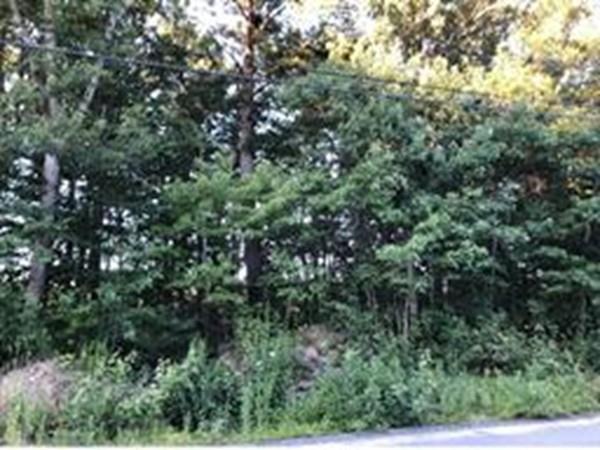 Lot 81 Pasture Brook - Photo 1